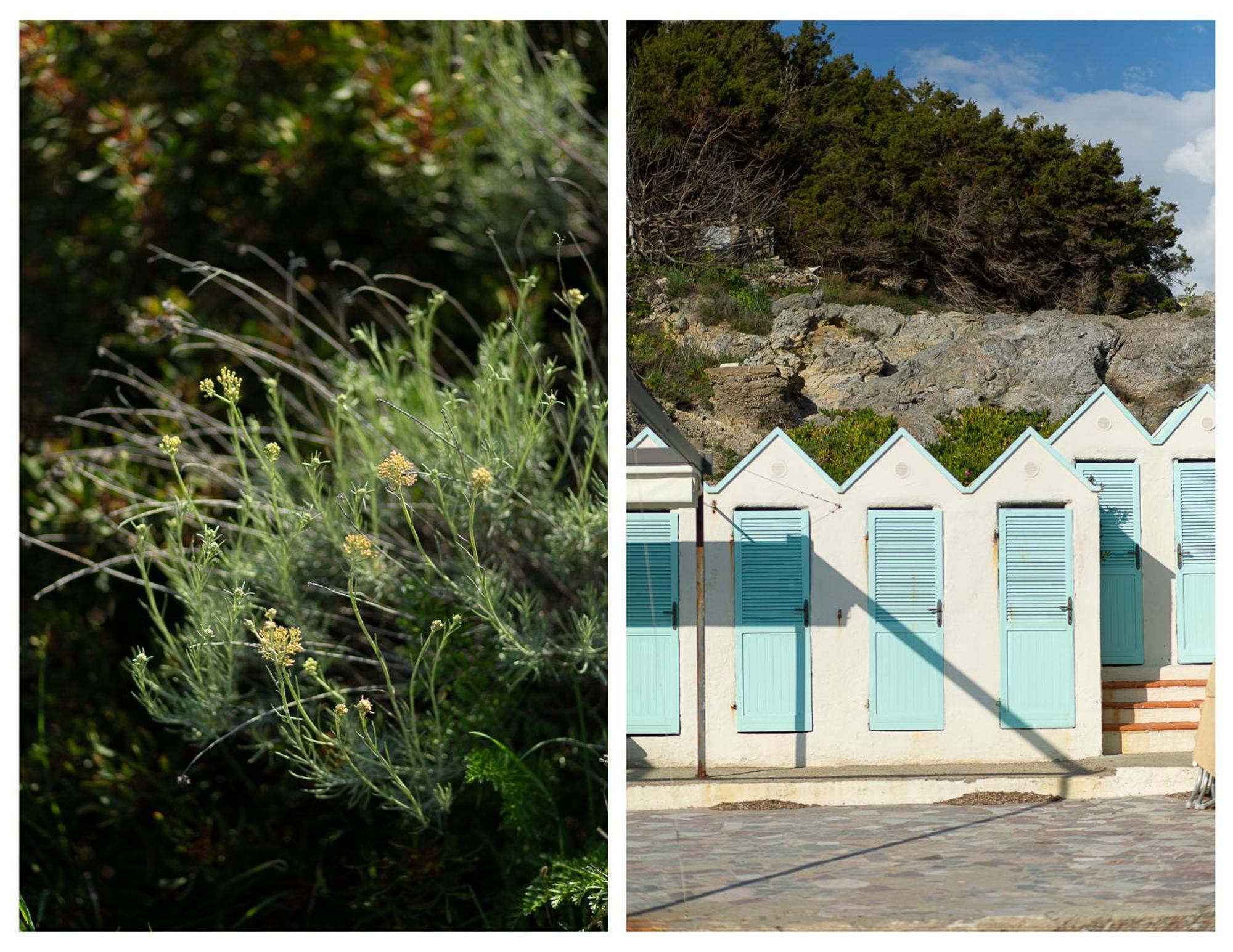 מונטיאנו La Casa Di Marco, Holidays, Sea And Nature מראה חיצוני תמונה